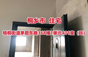 桐乡市梧桐街道茅盾东路368幢1单元401室（跃）